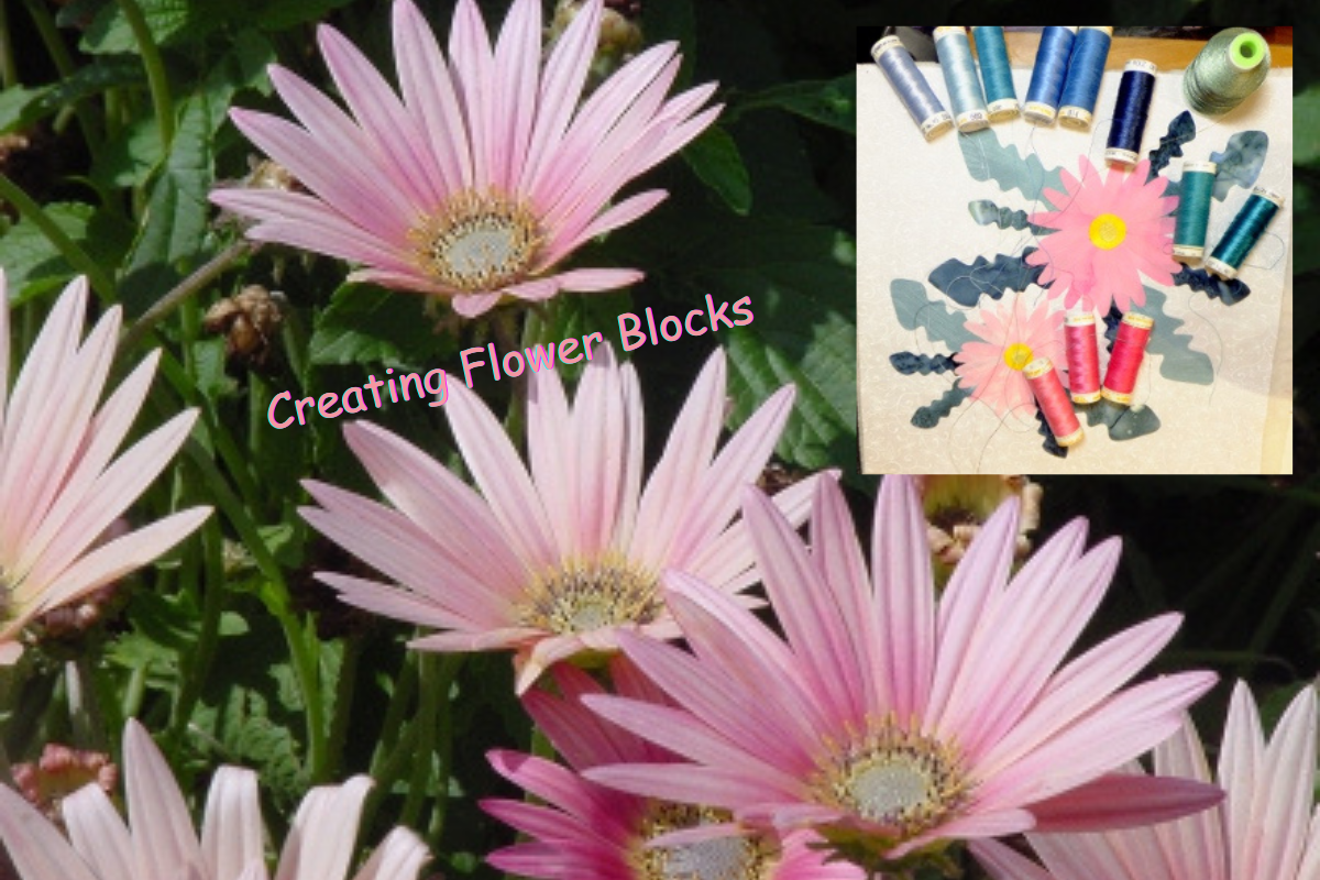 create a flower block of African Daisies (Arctotis flower)